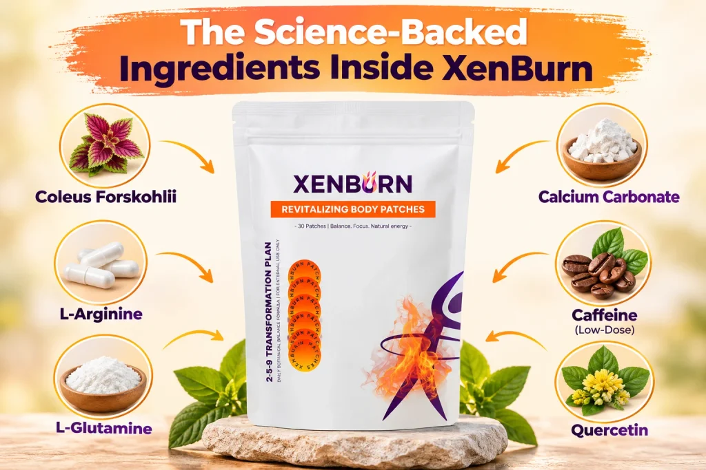 XenBurn Ingredients Explained